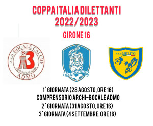 Coppa Italia Dilettanti Girone 16